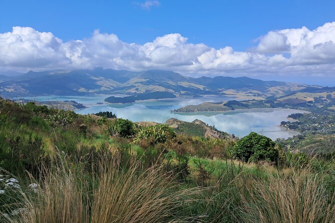 Christchurch Highlights Tour (Full Day Private) - Lyttelton Harbour: Christchurch’s dramatic opening scene