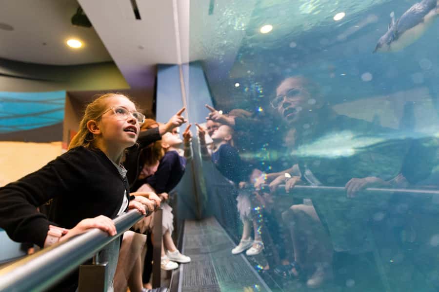 Christchurch International Antarctic Centre Entry Tickets - Is the $44 ticket good value?