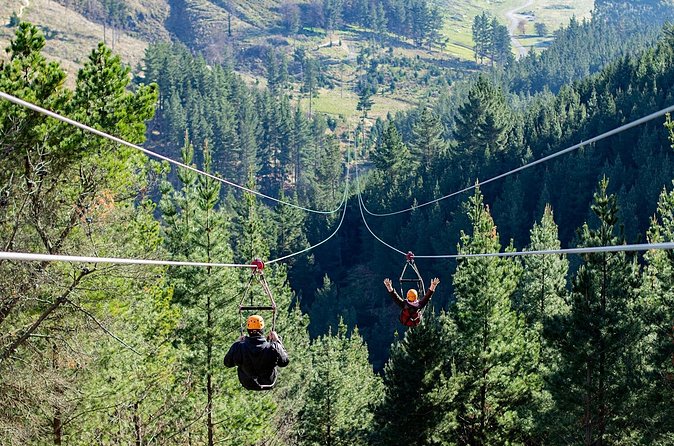 Christchurch Long Ride Zipline - Price and value at $68.26