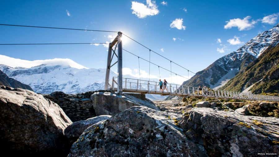 Christchurch: Mt Cook & Tekapo Small-Group Tour (incl Lunch) - Key points at a glance