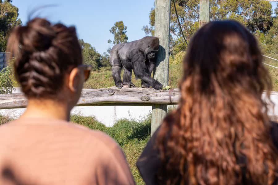 Christchurch: Orana Wildlife Park Admission - Ride the eight-stop Safari Shuttle