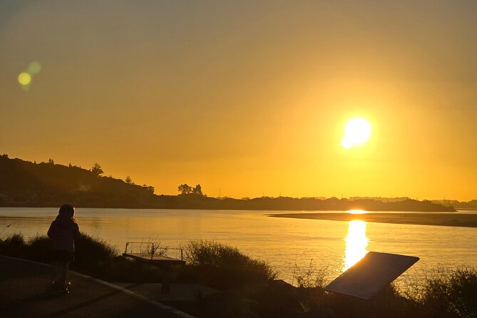 Christchurch Private Tour (Premium) Full day - Central Christchurch: Riverside Market, gardens, and optional city rides