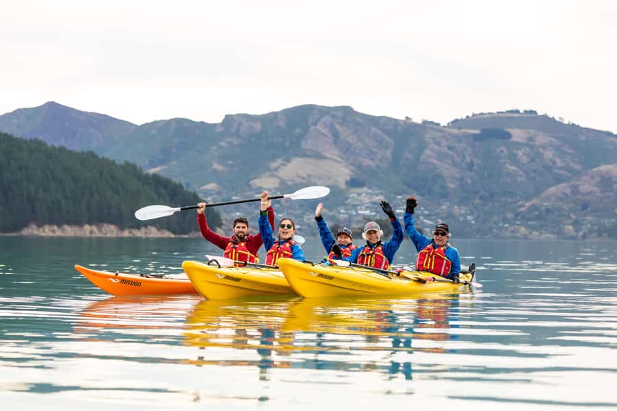 Christchurch: Sea Kayaking Tour of Lyttelton Harbour - The ship graveyard and the route toward Quail Island