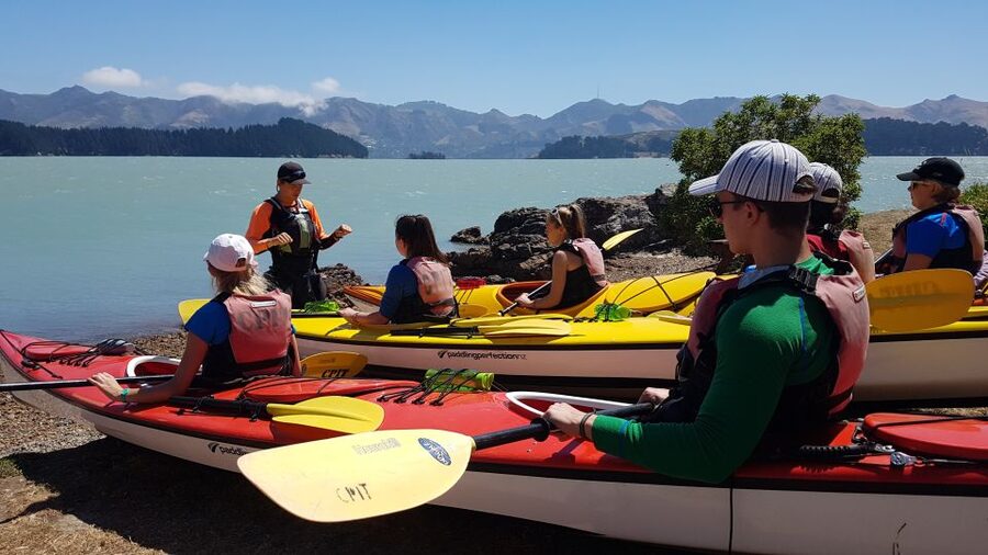 Christchurch: Sea Kayaking Tour of Lyttelton Harbour - Lunch and free time on Otamahua