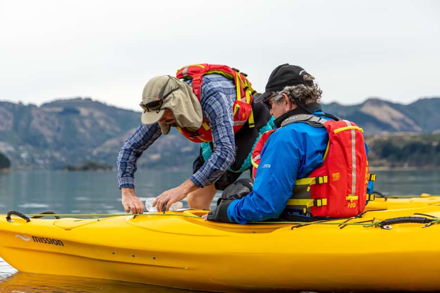 Christchurch: Sea Kayaking Tour of Lyttelton Harbour - Caves, cliffs, and the optional island circuit
