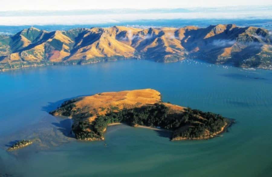 Christchurch: Sea Kayaking Tour of Lyttelton Harbour - What the $268 price really covers