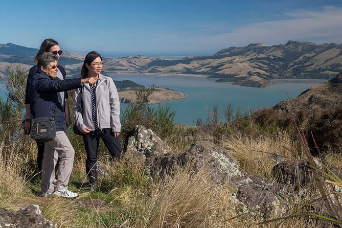 Christchurch Sightseeing Pass - The Christchurch Tram: your city orientation on 18 stops
