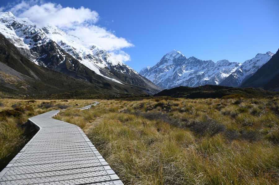 Christchurch to Mt Cook via Lake Tekapo (1 way) - Fairlie Bakehouse and the famous pie stop