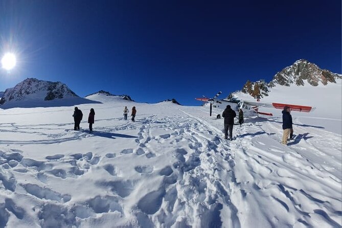 Christchurch to Mt Cook via Lake Tekapo One Way Small Group Tour - The guide can make or break the day