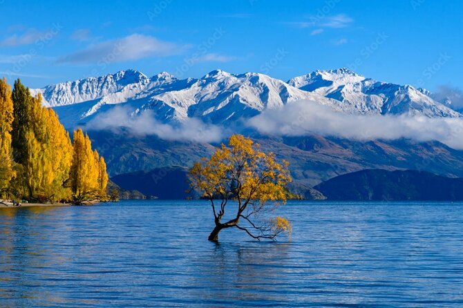 Christchurch to Queenstown 2 Day Tour via Franz Josef - Day 1 begins with Castle Hill and the Southern Alps
