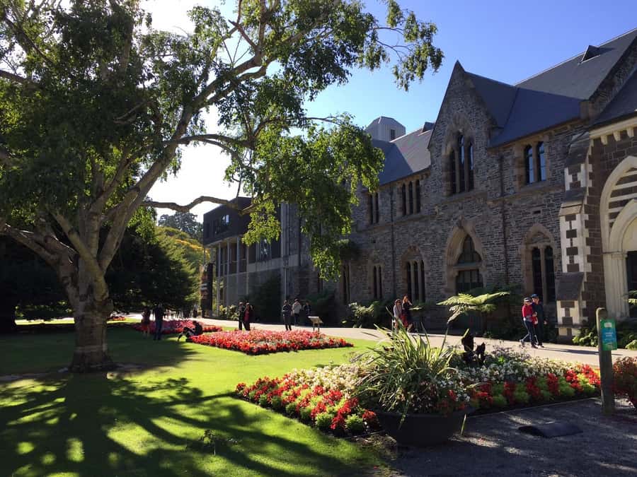Christchurch: to Queenstown via Mt Cook 1 Way Tour - Two hours in Aoraki/Mt Cook National Park