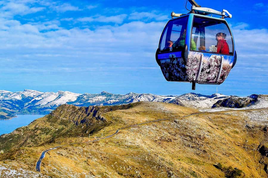 Christchurch: Tram, Punt and Gondola Ride Combo Ticket - Should you book the Tram, Punt, and Gondola combo?