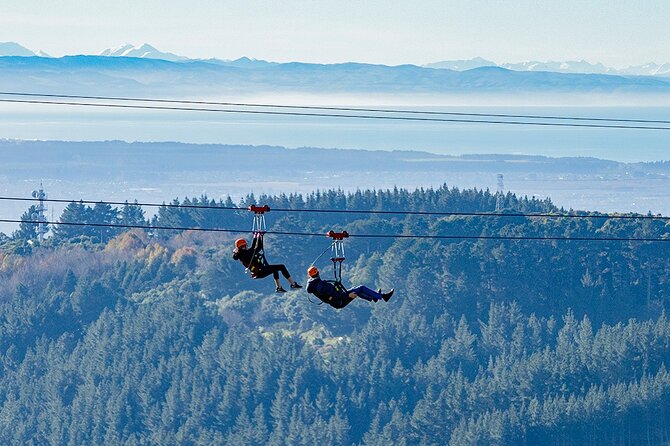Christchurch Zipline Tour - Is $155.14 good value?