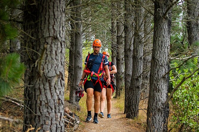 Christchurch Zipline Tour - Who should choose this Christchurch activity?