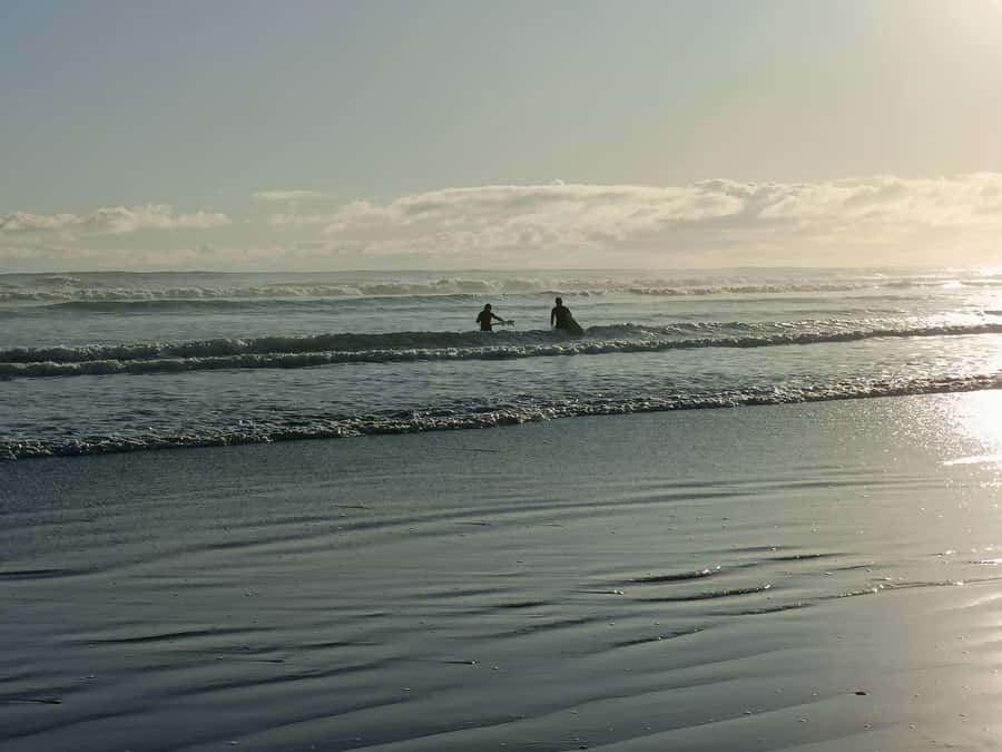 “City & Coast & Country” – A Relaxed Day Tour from Auckland - Why this Auckland day tour is worth a closer look