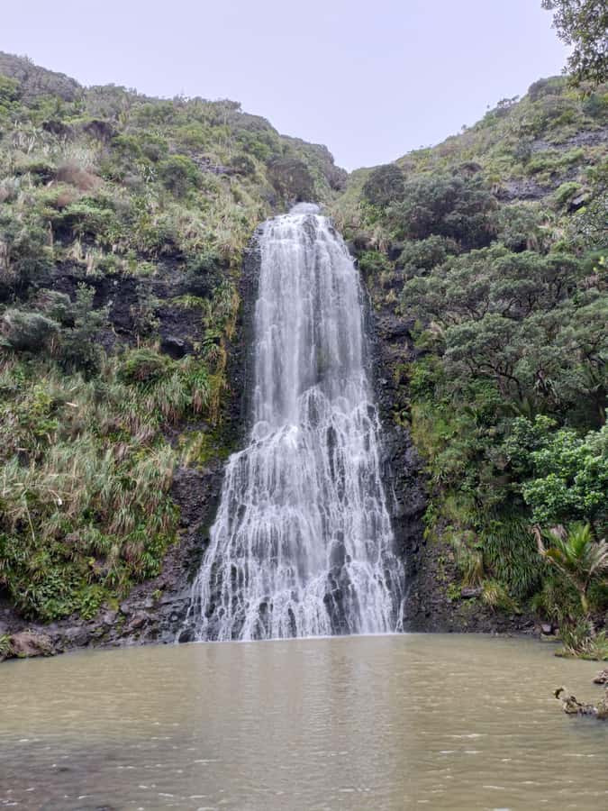 “City & Coast & Country” – A Relaxed Day Tour from Auckland - From Auckland city to the wild west