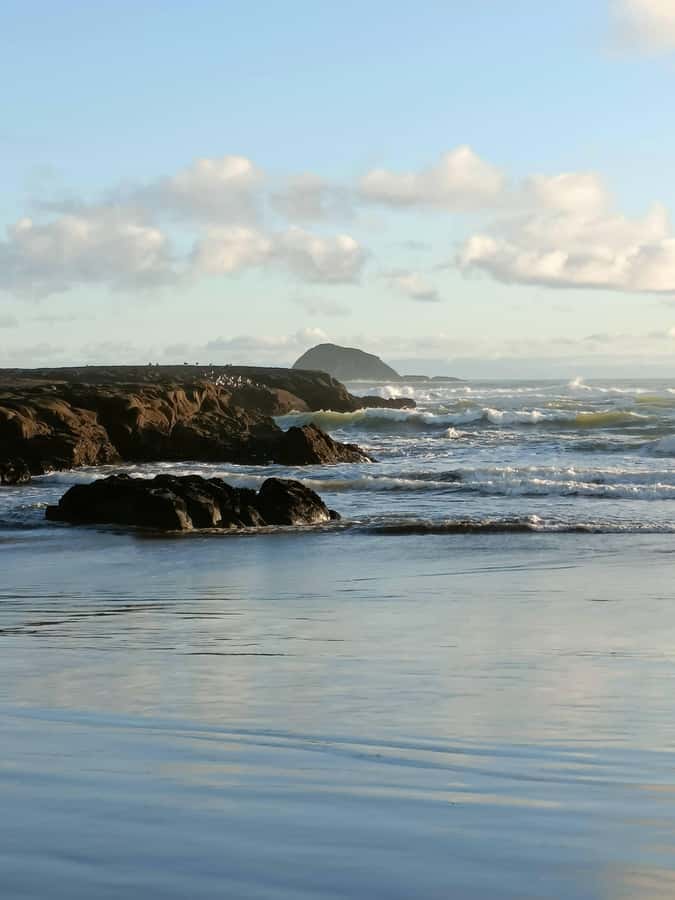 “City & Coast & Country” – A Relaxed Day Tour from Auckland - Kumeū, lunch, and the optional wine stop
