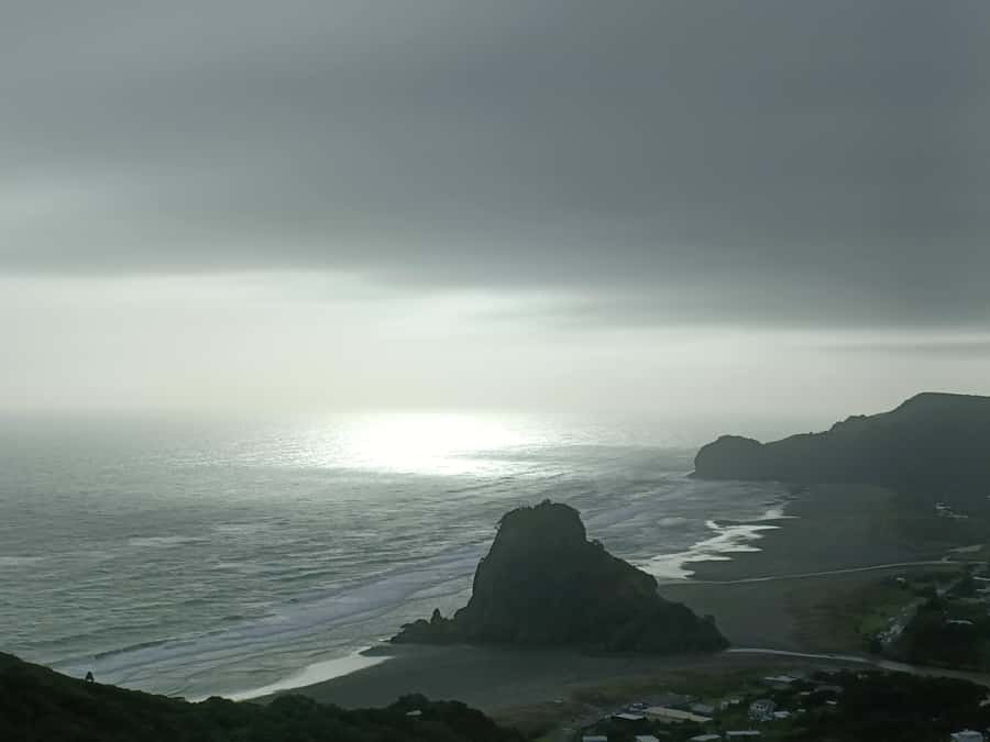 “City & Coast & Country” – A Relaxed Day Tour from Auckland - Stories that give the scenery more meaning