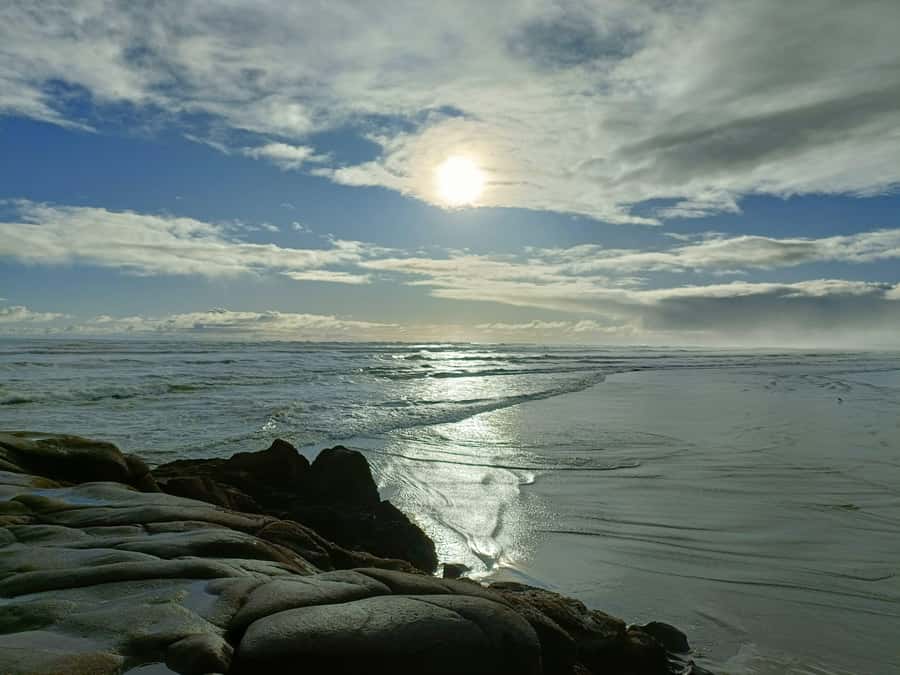 “City & Coast & Country” – A Relaxed Day Tour from Auckland - How the timing affects the experience