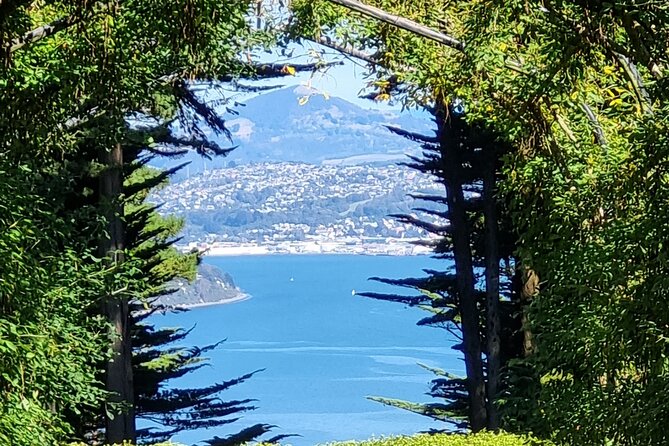 City Highlights, Larnach Castle & Peninsula Views - Signal Hill delivers the city photograph