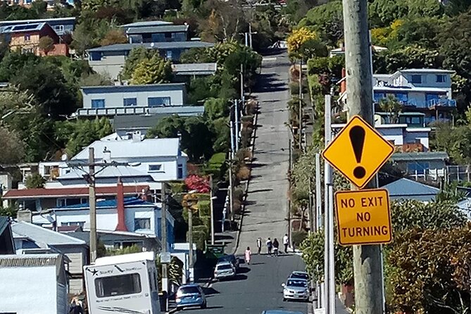City Highlights, Larnach Castle & Peninsula Views - The University of Otago adds a city story