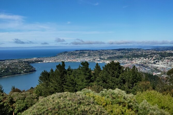 City Highlights, Larnach Castle & Peninsula Views - Dunedin Railway Station is a quick architectural treat