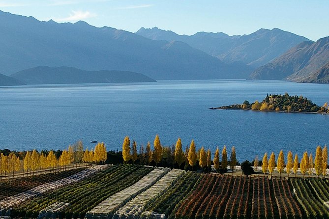 Classic Wanaka Wine Tour - Six boutique vineyards, with room for different styles