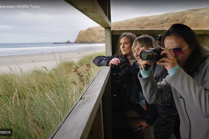 Clearwater Private Penguin & Wildlife Tour from Port Otago (5hrs) - Why this private Otago Peninsula tour feels different