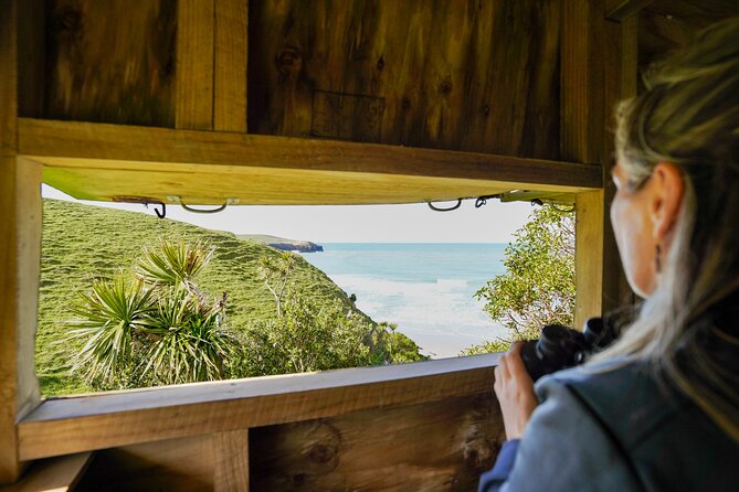 Clearwater Private Penguin & Wildlife Tour from Port Otago (5hrs) - Comfort, food, and what to wear