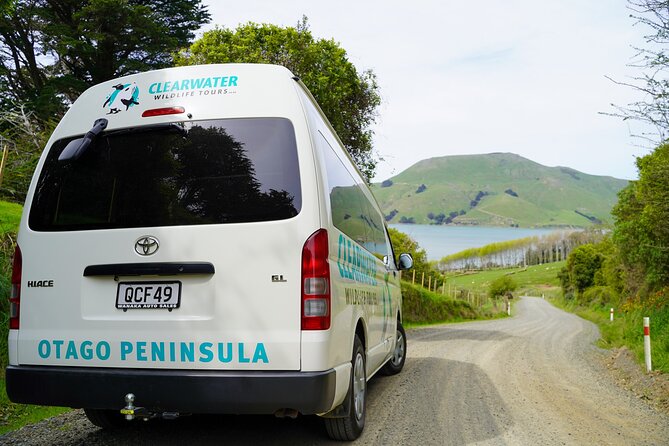 Clearwater Private Penguin & Wildlife Tour from Port Otago (5hrs) - Who will enjoy this most?
