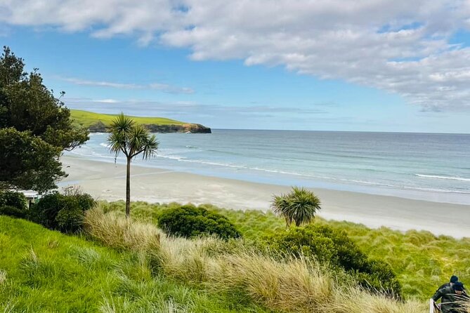 Clearwater Wildlife Tours (small group 10max) Otago Peninsula - Why the guides make such a difference