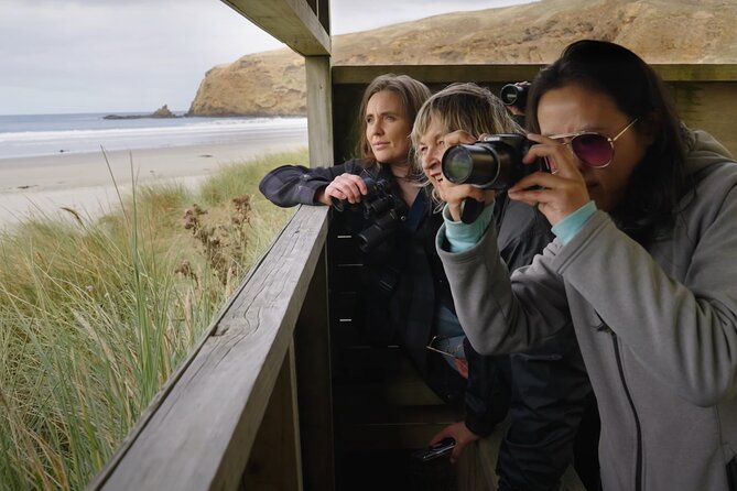 Clearwater Wildlife Tours (small group 10max) Otago Peninsula - The value of the $139.63 price