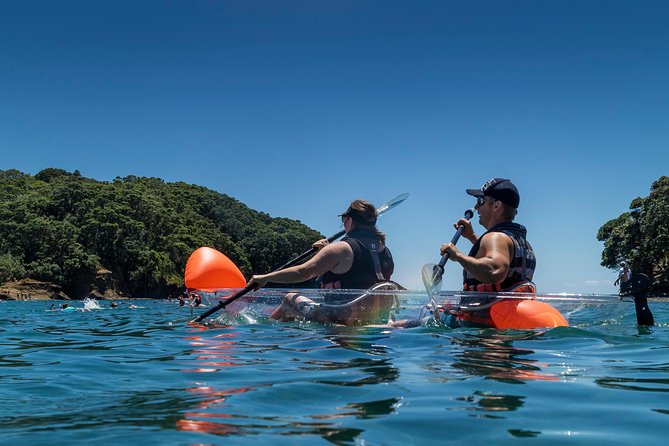 Clearyak hire at Goat Island Marine Reserve - What you can see below the clear floor