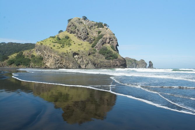 Coast and Rainforest Eco-Tour from Auckland with Picnic Lunch - The Day at a Glance