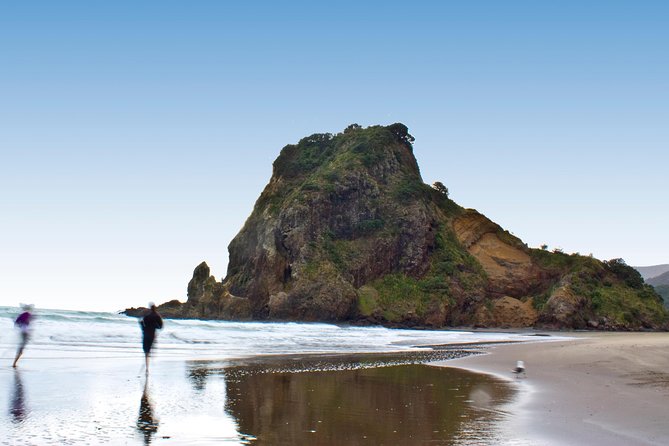 Coast and Rainforest Eco-Tour from Auckland with Picnic Lunch - Who Should Book It?