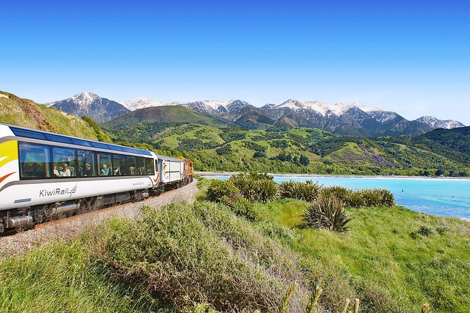 Coastal Pacific Train Journey from Christchurch to Picton - Leaving Christchurch at 7:00 am