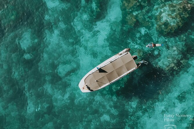 Coromandel Adventure and Wildlife Boat Tour to Aldermen Islands - Key things to know before you go