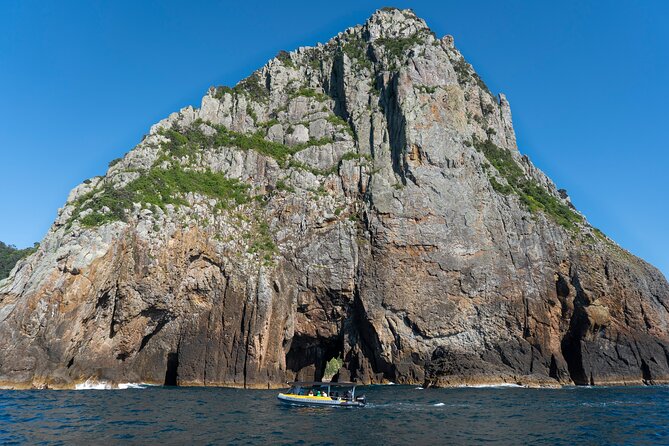 Coromandel Adventure and Wildlife Boat Tour to Aldermen Islands - Wildlife sightings are the real wildcard