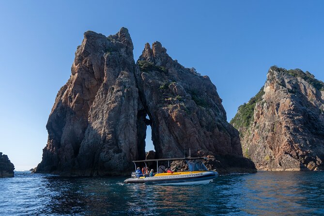 Coromandel Adventure and Wildlife Boat Tour to Aldermen Islands - Seasonal snorkeling and swimming
