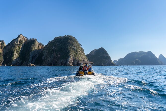 Coromandel Adventure and Wildlife Boat Tour to Aldermen Islands - What the $102.39 price really covers