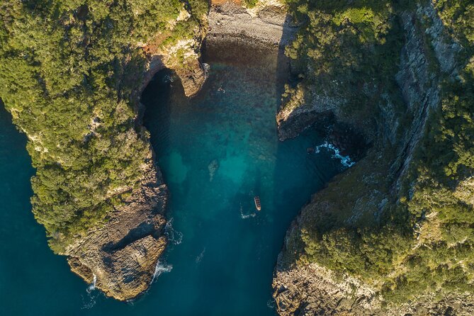 Coromandel Adventure and Wildlife Boat Tour to Aldermen Islands - Who will enjoy this Coromandel outing