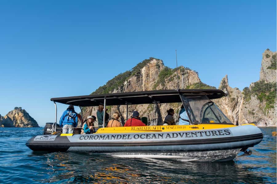Coromandel: Aldermen Islands Marine Reserve Wildlife Cruise - Key points to know before you go