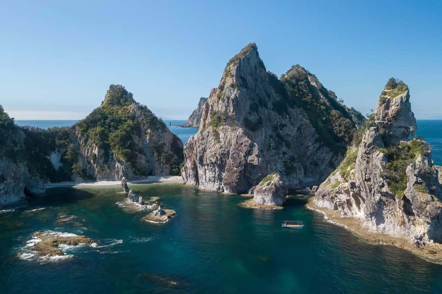 Coromandel: Aldermen Islands Marine Reserve Wildlife Cruise - Swimming and snorkelling in the island reserve