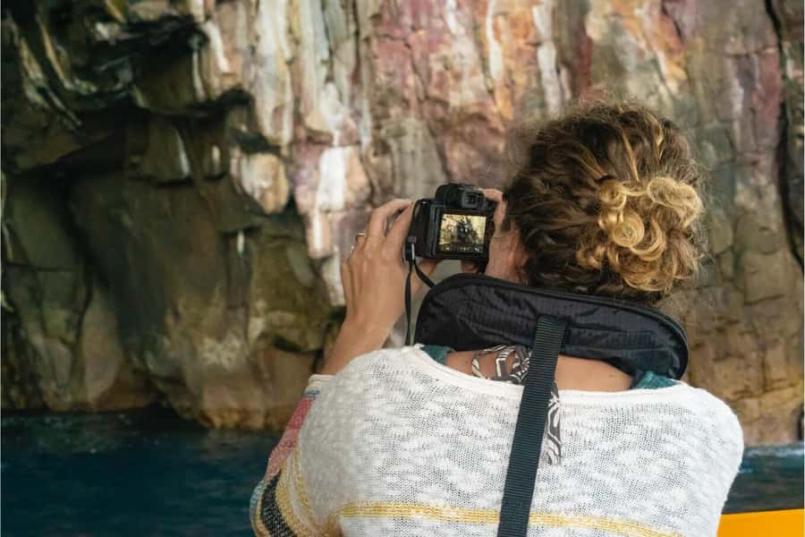 Coromandel: Aldermen Islands Marine Reserve Wildlife Cruise - What the guide adds to the two-hour cruise