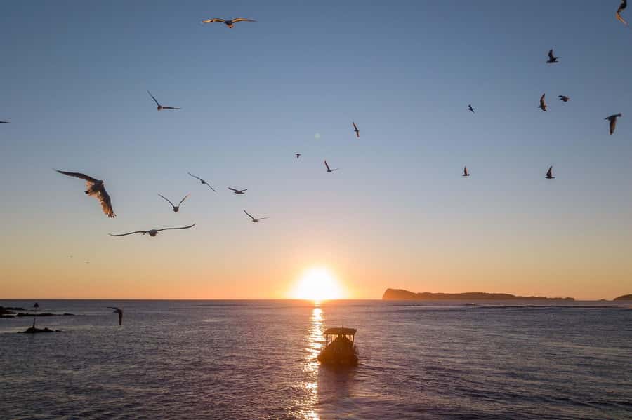 Coromandel: Aldermen Islands Marine Reserve Wildlife Cruise - Practical tips for a smoother outing
