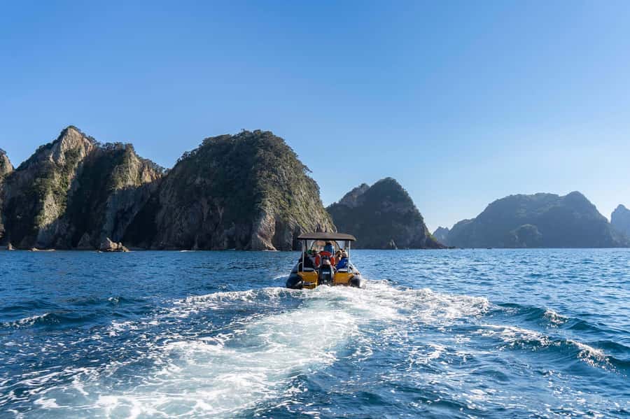 Coromandel: Aldermen Islands Marine Reserve Wildlife Cruise - Should you book the Aldermen Islands cruise?