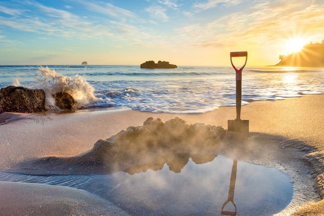 Coromandel Coastal Experience - Small Group Tour from Auckland - Key points at a glance