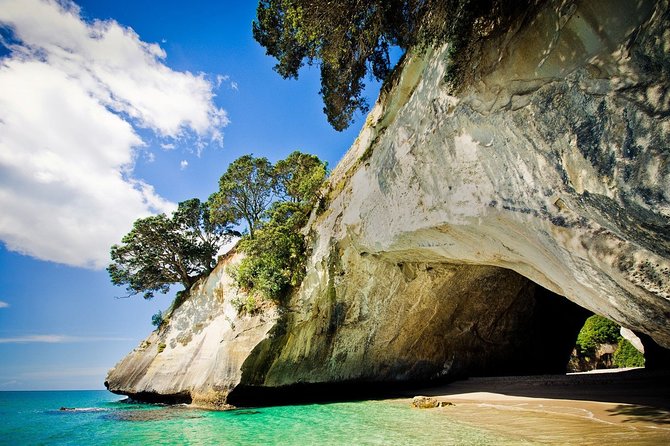 Coromandel Coastal Experience - Small Group Tour from Auckland - Why this Coromandel day trip is worth considering