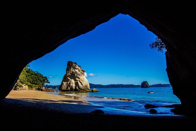 Coromandel Coastal Experience - Small Group Tour from Auckland - Bombay Hills and the road to Thames