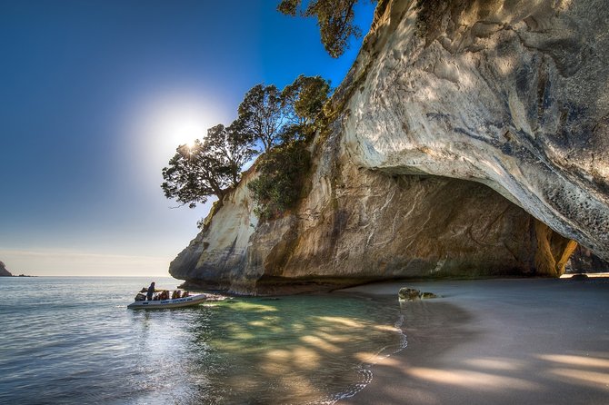 Coromandel Coastal Experience - Small Group Tour from Auckland - What the small group changes